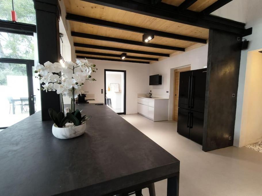 Industrial Luxury Nimes & Arles Villa Beaucaire  Buitenkant foto